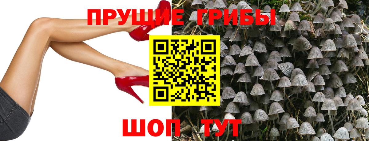 Псилоцибиновые грибы Magic Shrooms  Псилоцибиновые грибы Cubensis  Дмитров  Вход с VPN 