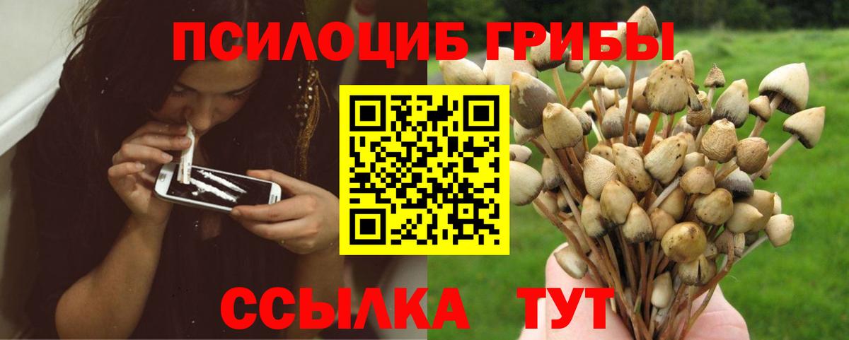 Псилоцибиновые грибы MAGIC MUSHROOMS Дмитров